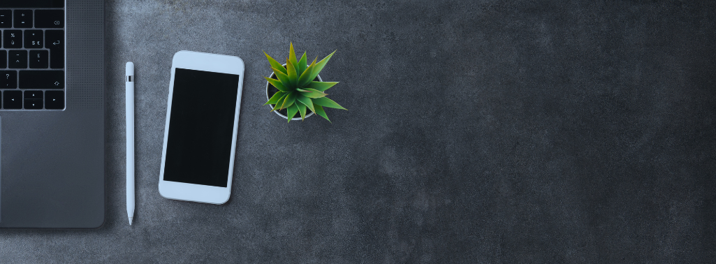 FLAPS国際行政書士事務所